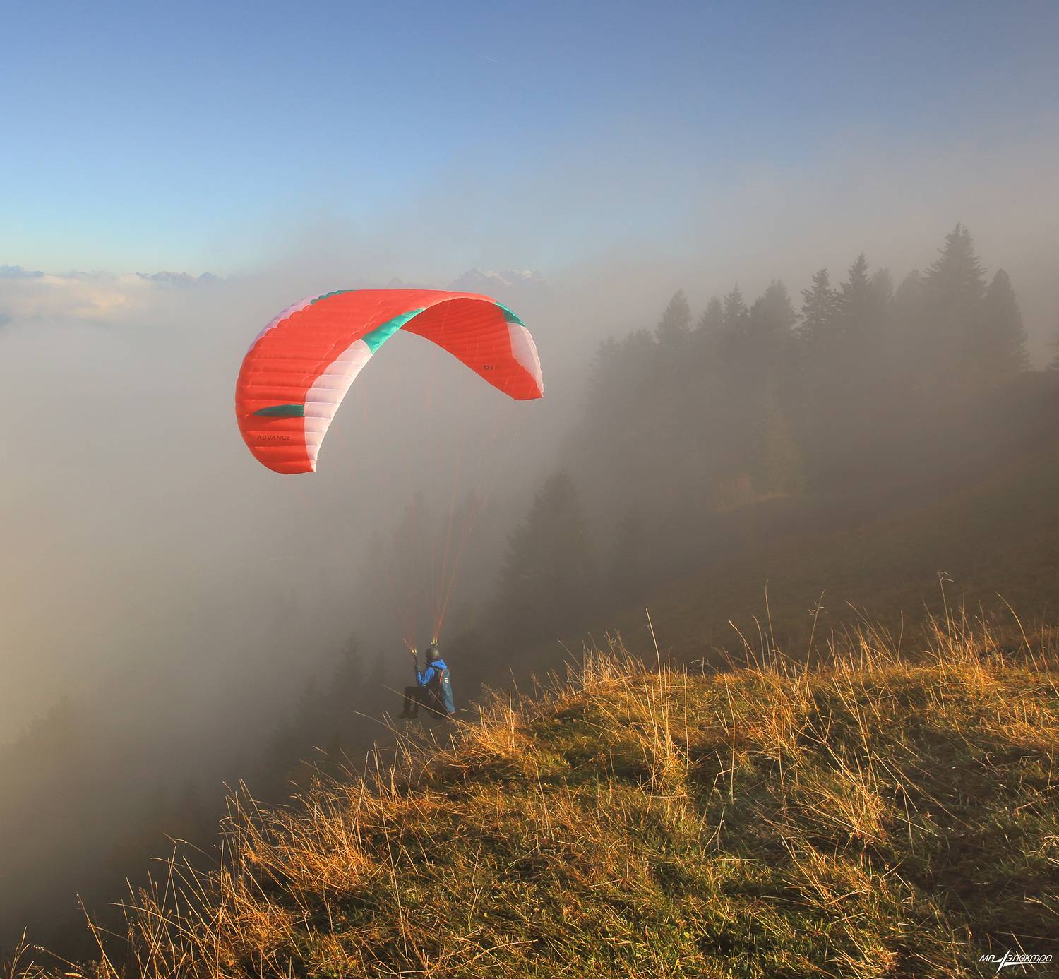 swiss, Матвеев Николай