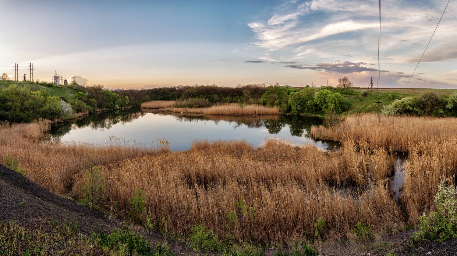 Пейзаж, природа, ставок, водоём, тростник, облака, деревья, Диденко Юрий