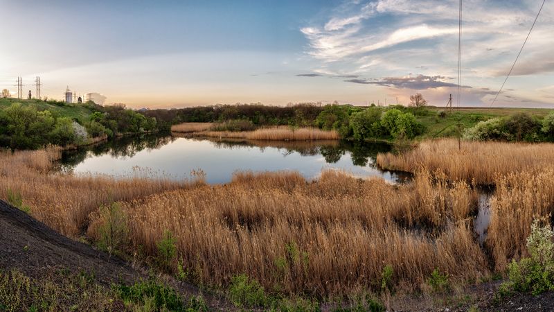 Пейзаж, природа, ставок, водоём, тростник, облака, деревья Пейзаж весенний фото превью