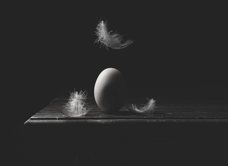 Пёрышко фото превью