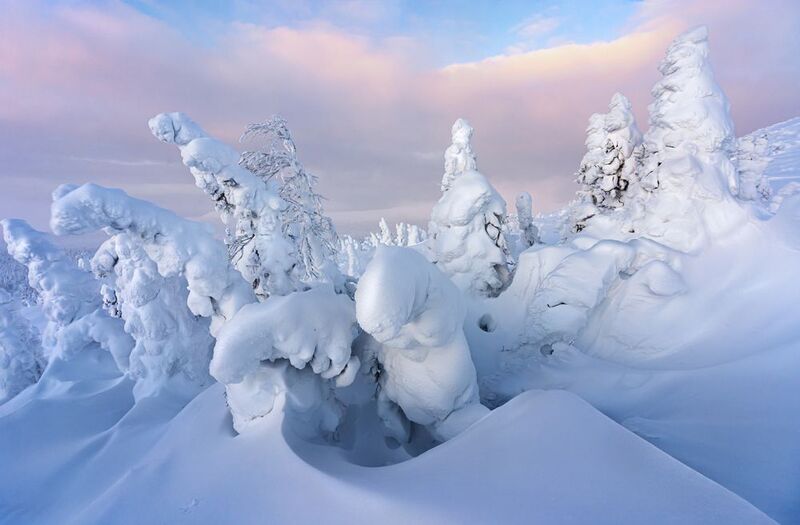 #урал #гух #зимний урал #тайга Уральские стражи. ГУХ фото превью