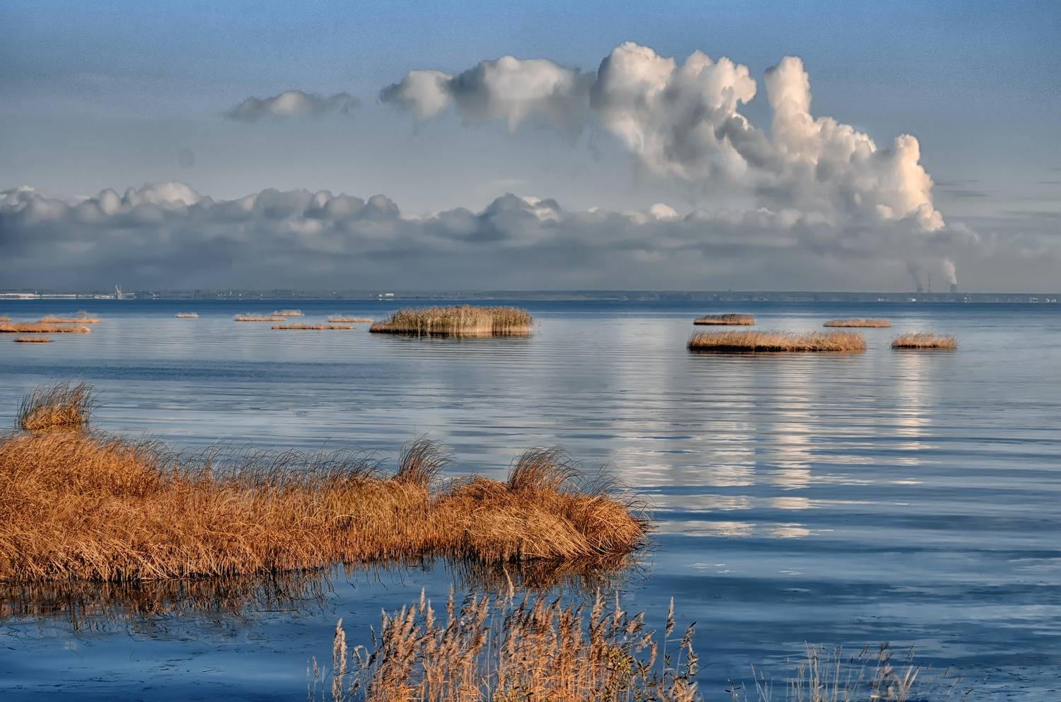 пейзаж осень море залив кусты природа облака, Тамара