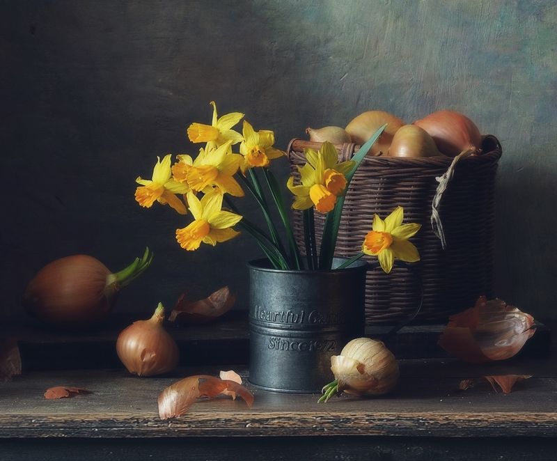 натюрморт,нарциссы,цветы,весна с нарциссами... фото превью