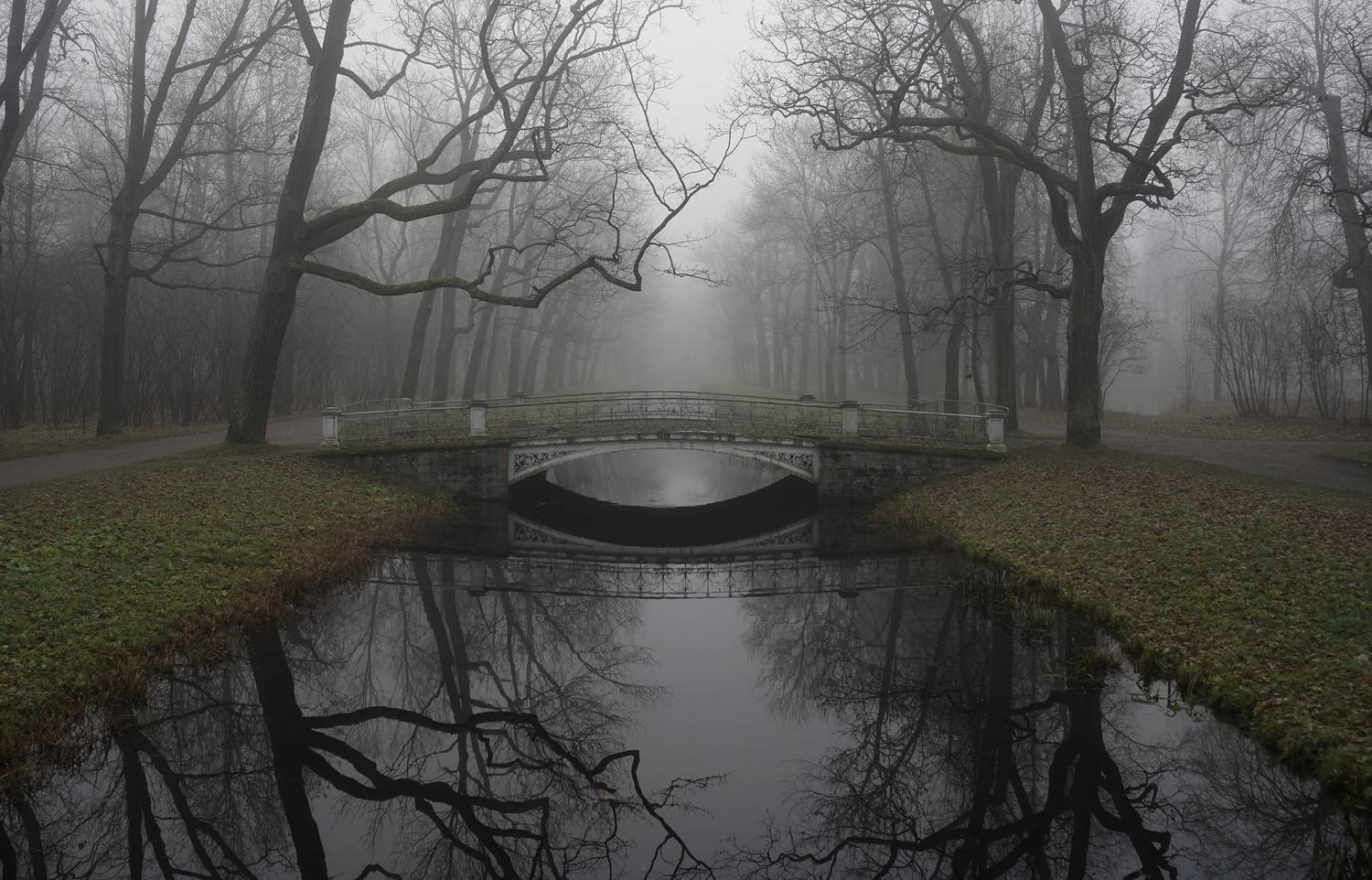 ,  Сергей Андреевич