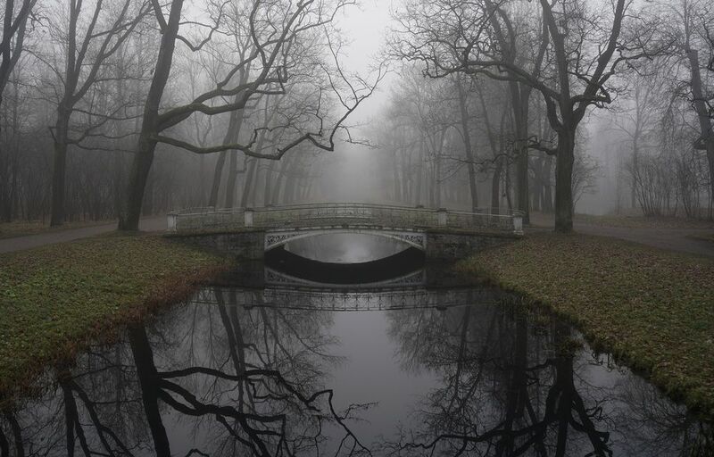 A morning in November фото превью