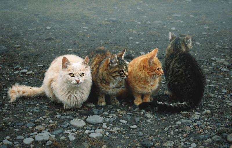 Будь собой! Остальные роли уже заняты. фото превью