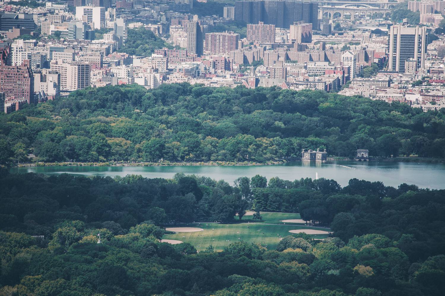 , Трепольский Дмитрий