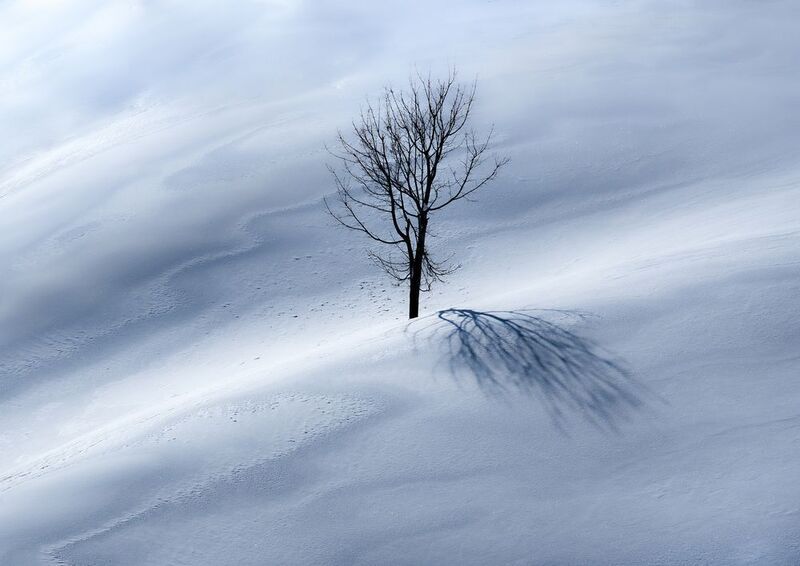 Одиночество фото превью