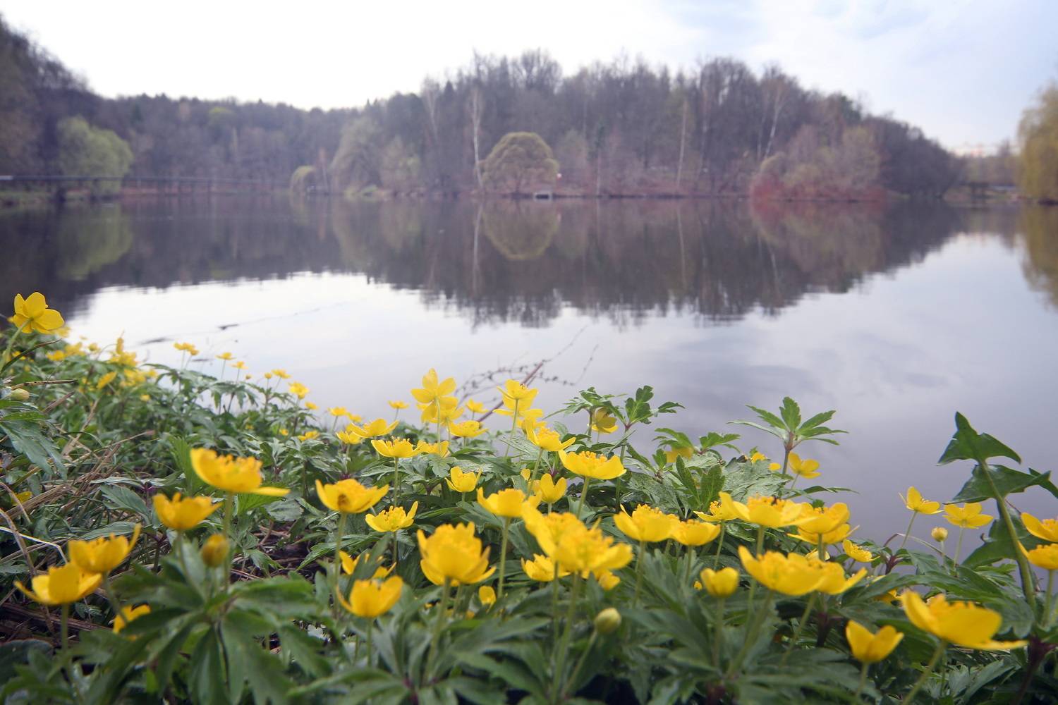 , Бибичков Михаил