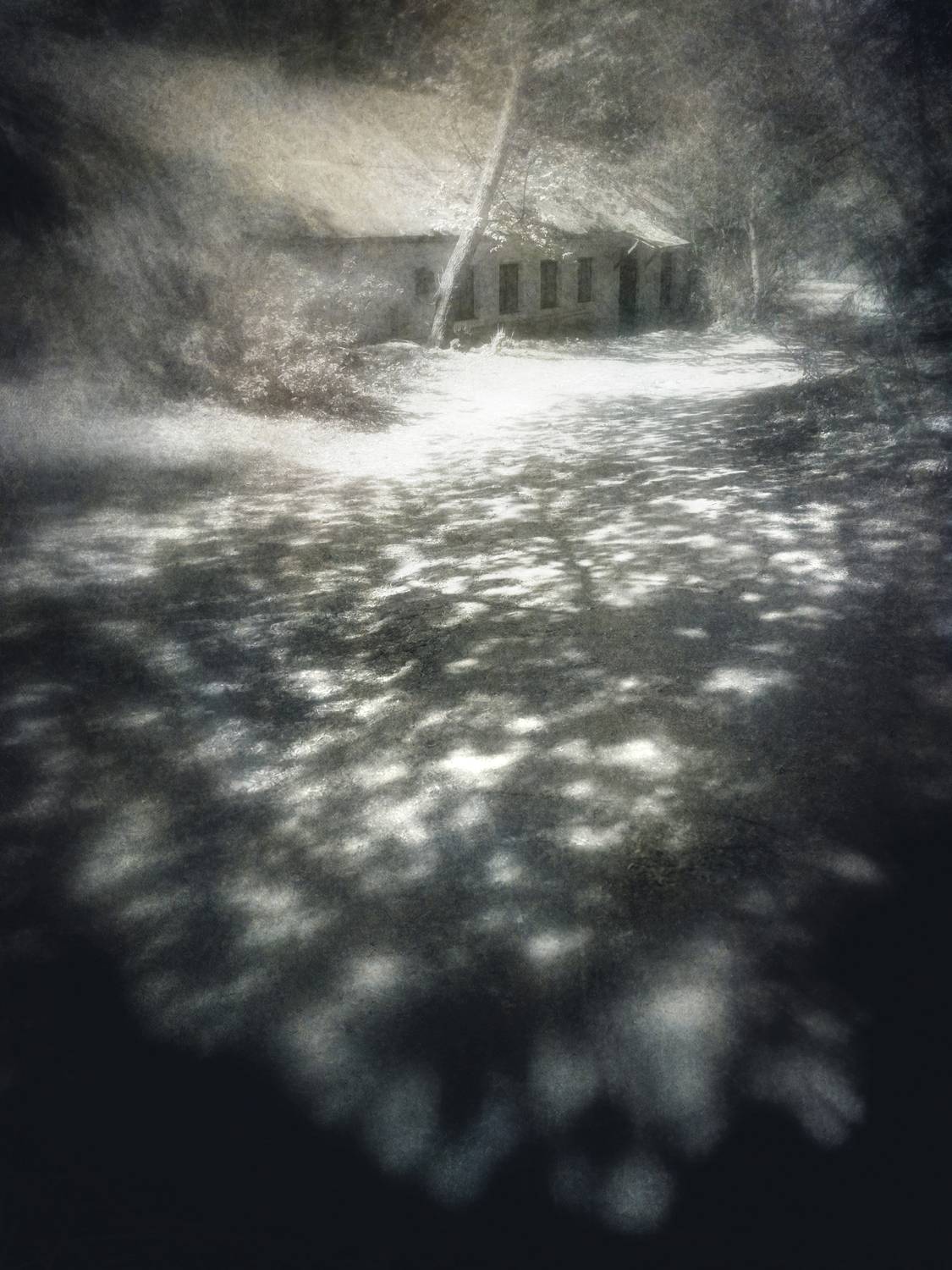 чб, тень, пикториализм, Сергей Кот