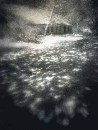 Под сенью юной листвы.