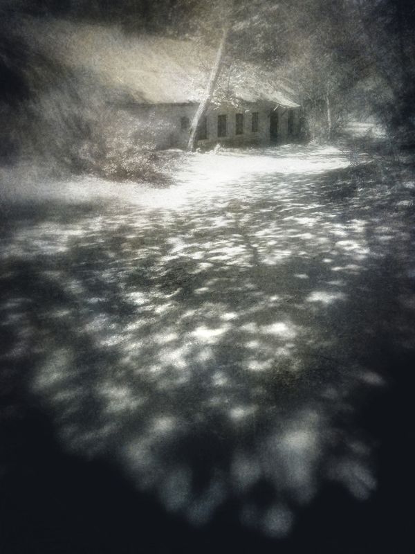 чб, тень, пикториализм Под сенью юной листвы. фото превью