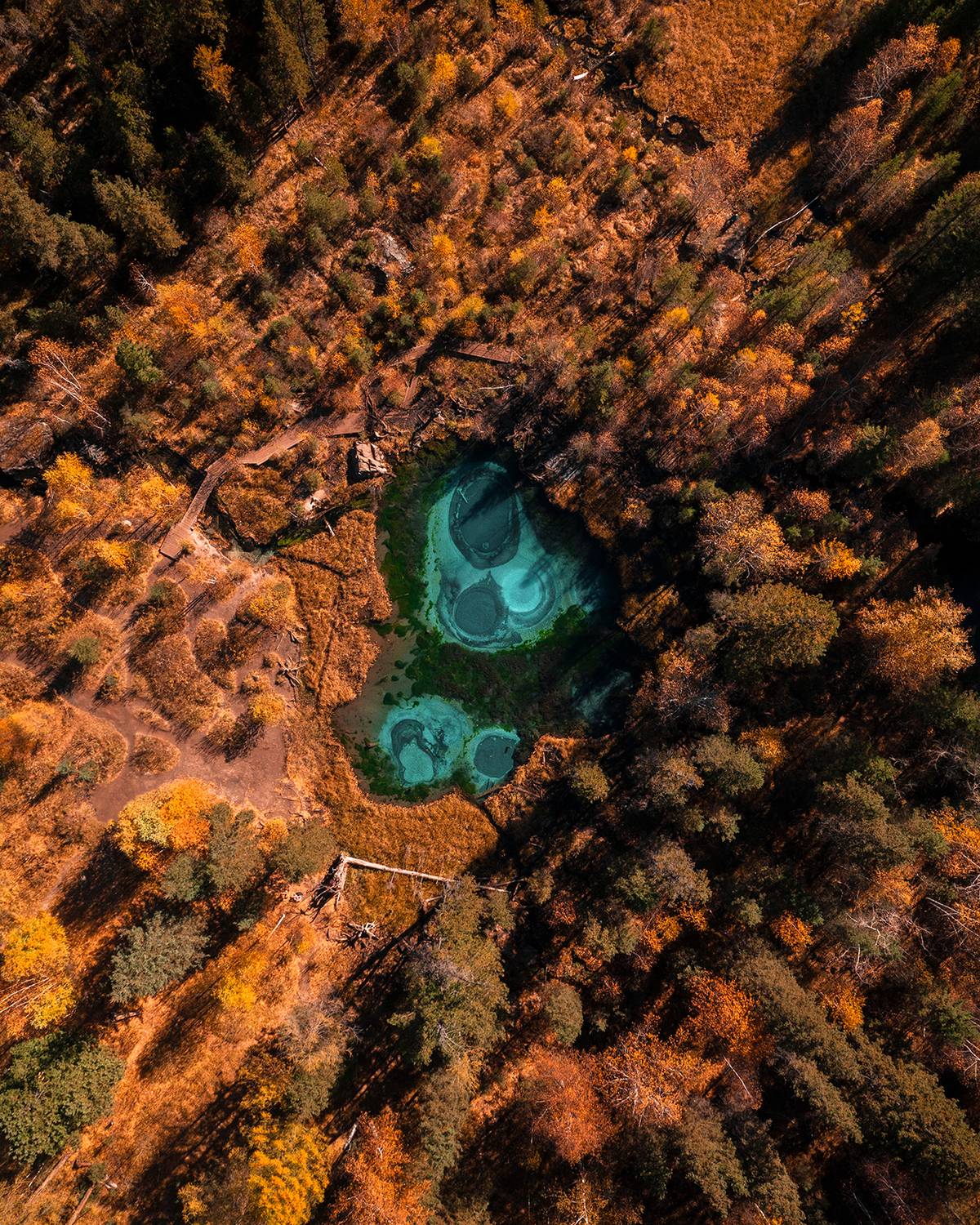 , Артамонов Александр