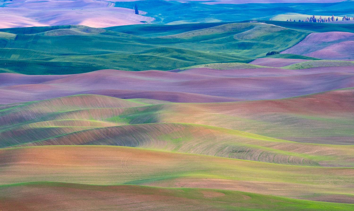 , Лозицкий Александр