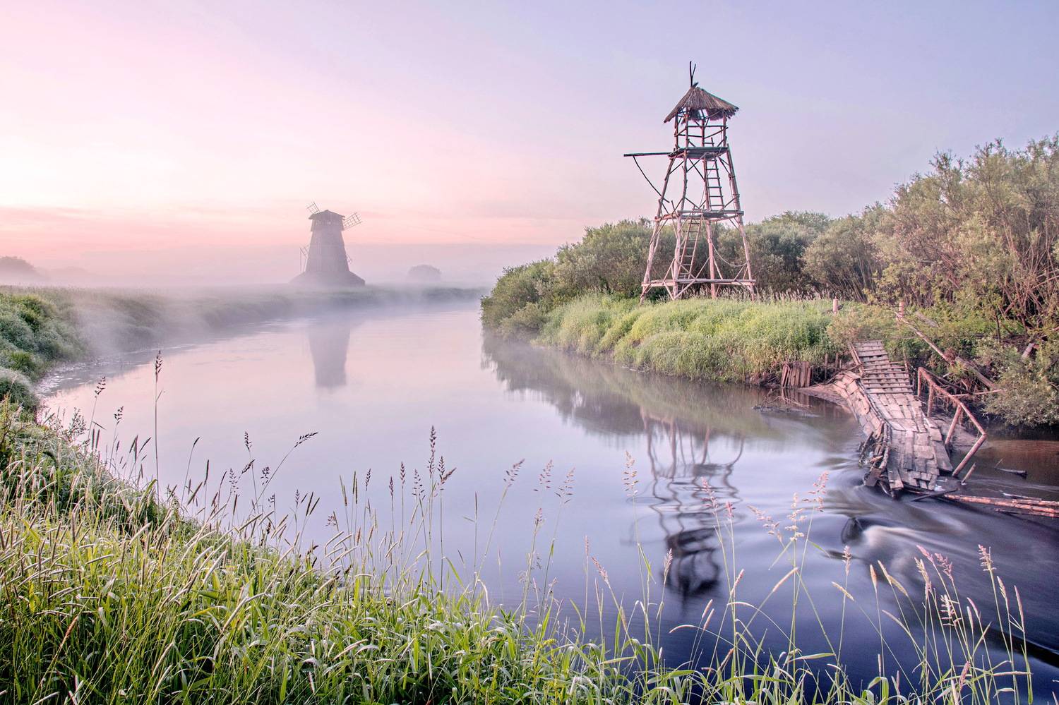 , Добролюбова Тамара