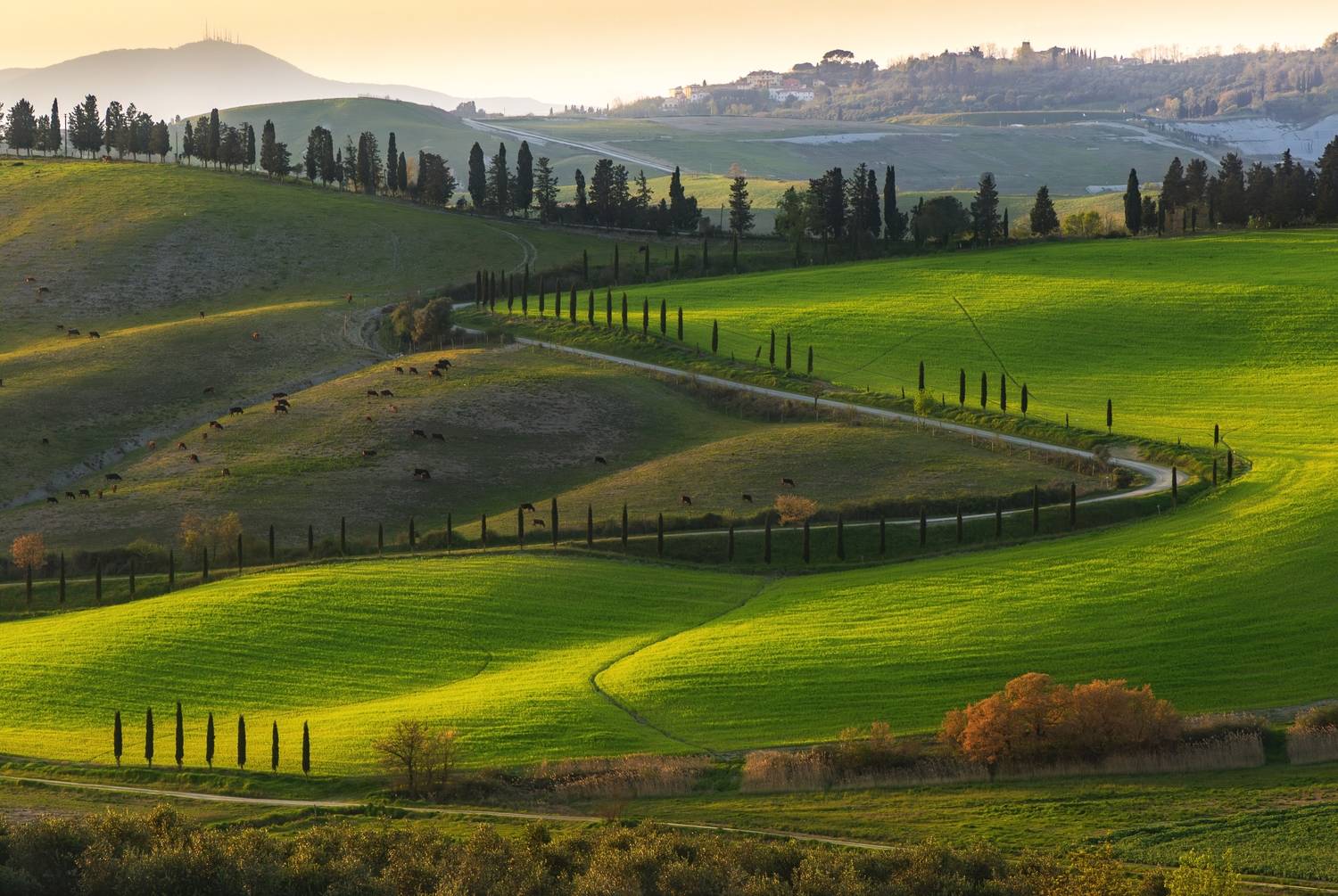 , Алекс Римский