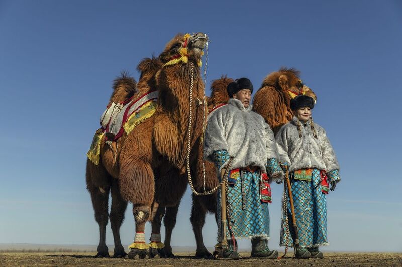 Mongolian camel winter festival фото превью