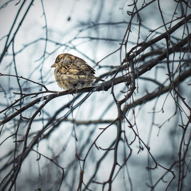 Обиделся я... фото превью
