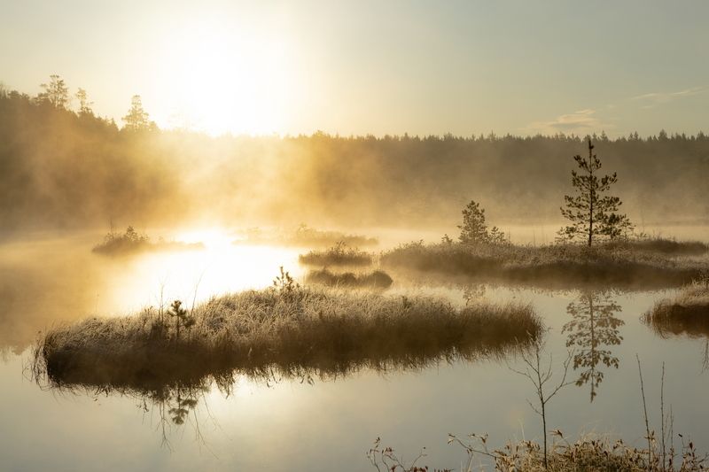 пейзаж Таким вот утром фото превью