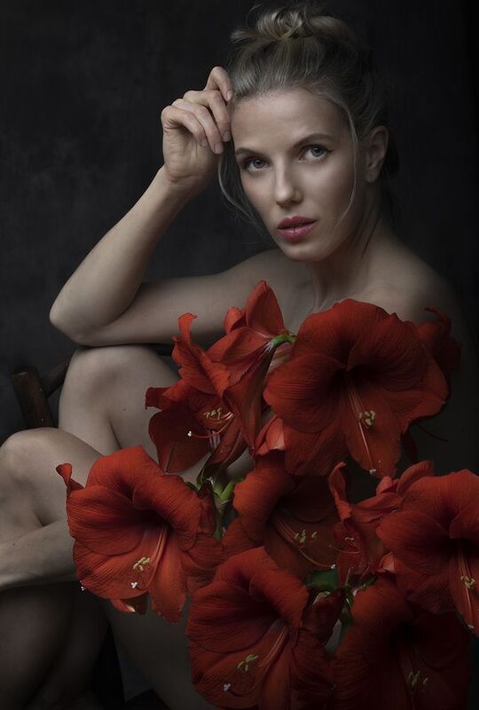 Красные амарилисы фото превью