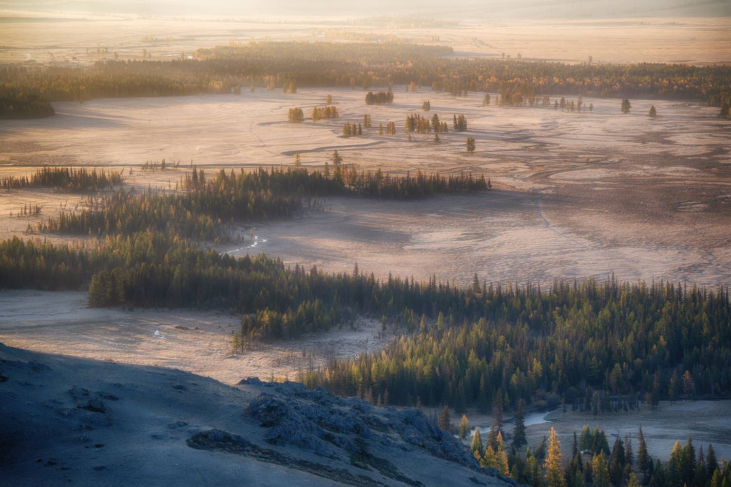 алтай горы лес утро пейзаж красивый, Татьяна Юганова