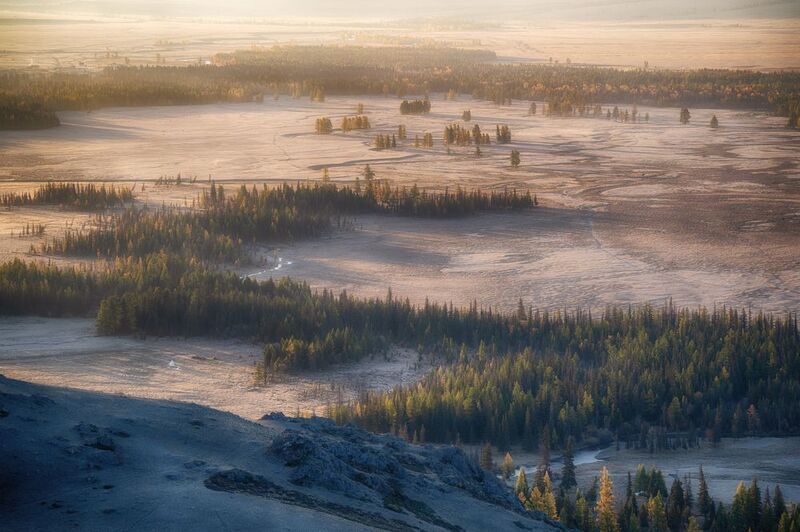 алтай горы лес утро пейзаж красивый Алтайские просторы фото превью