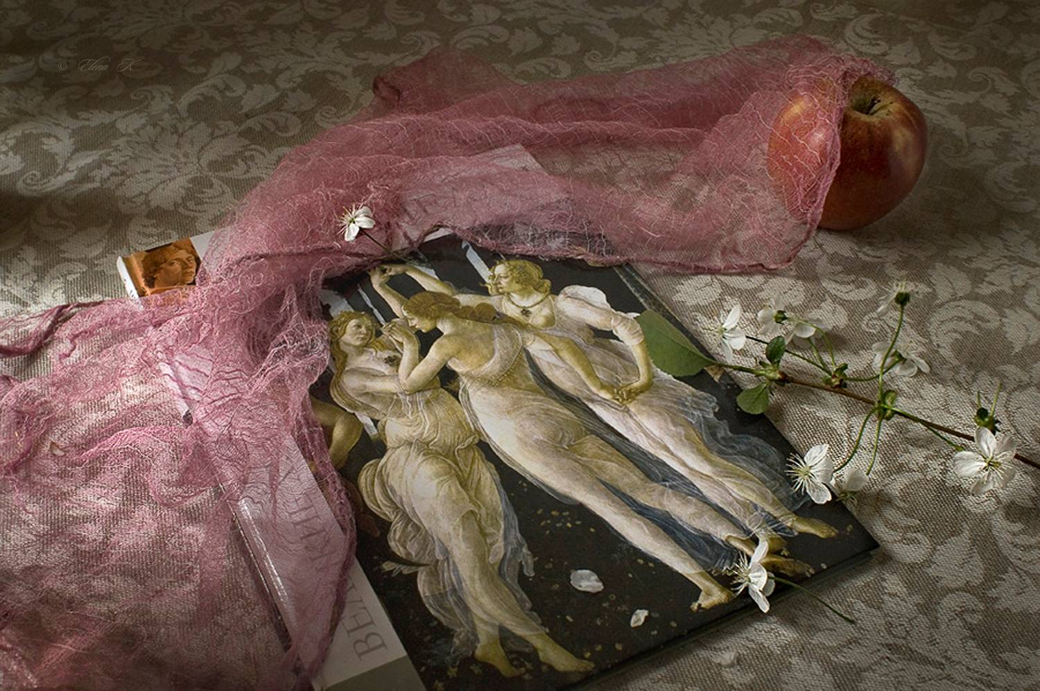 , Елена Колеснева