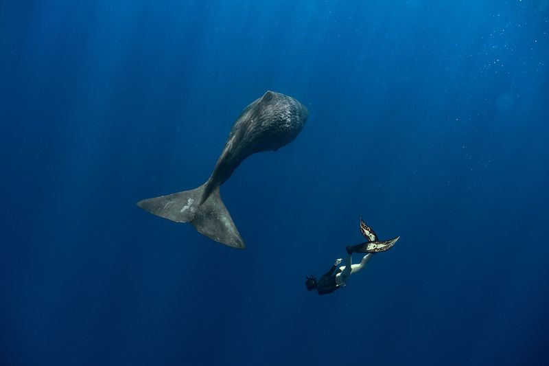 *** фото превью