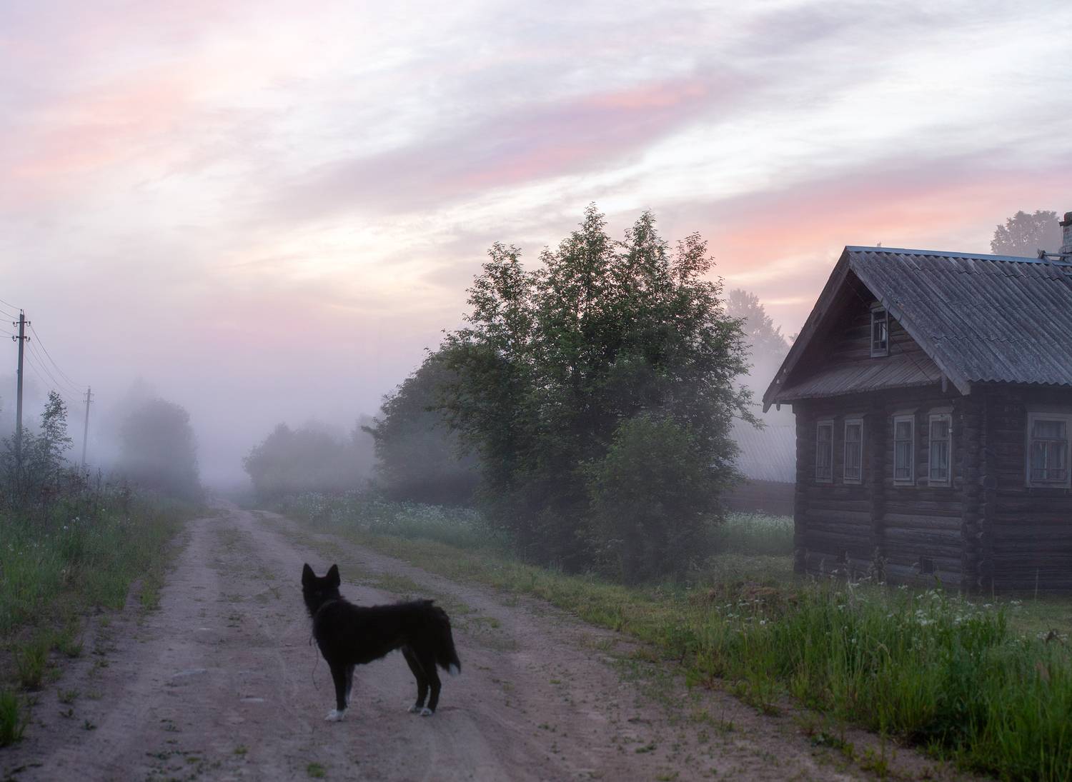 деревня, север, утро, туман, рассвет, вологодская область, Павел Ващенков