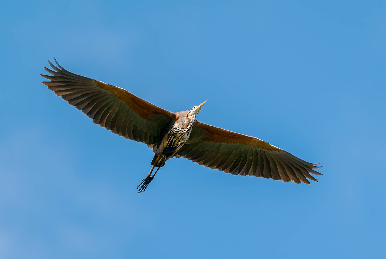 , Сергей Тихомиров