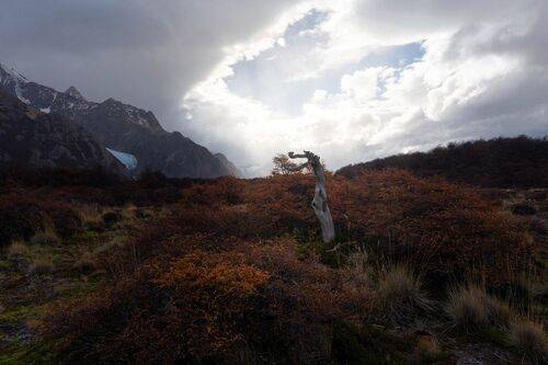 Дождь и свет