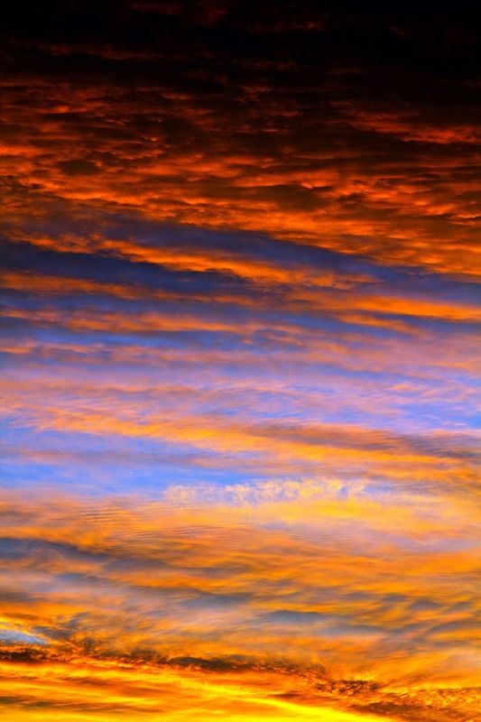 CIELO Y COLORES фото превью