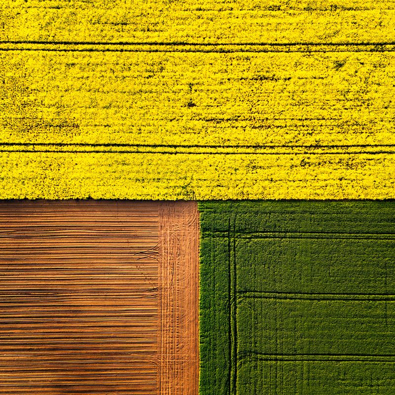 fields, drone, colors,  Three colors фото превью
