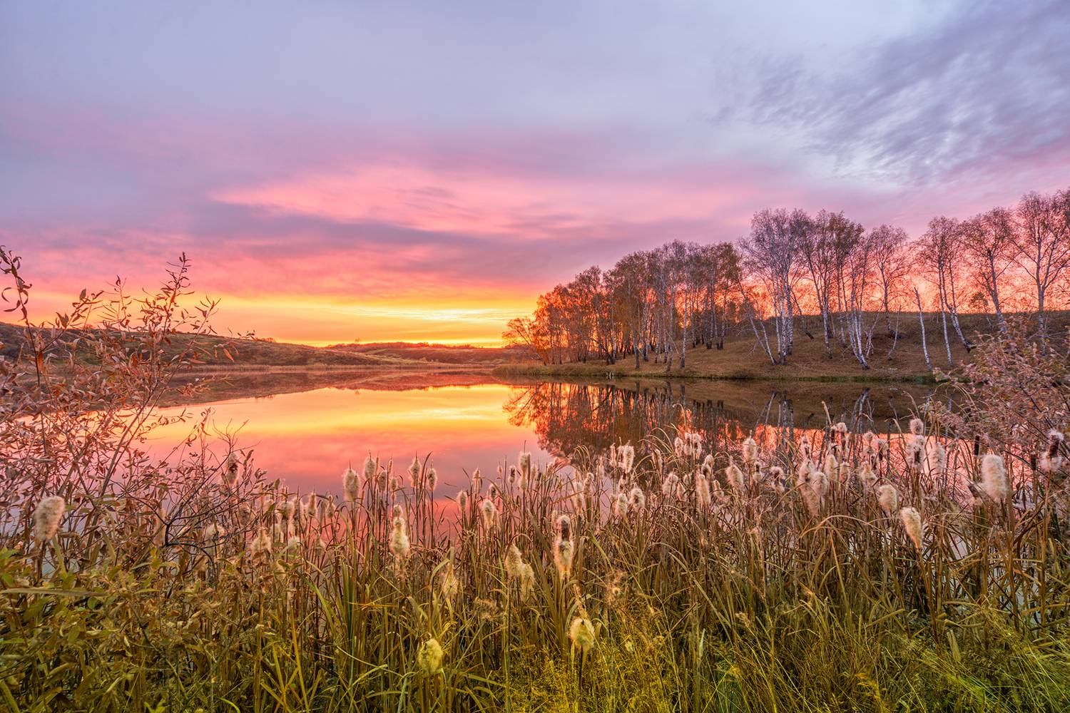 Россия, пейзаж, рассвет, природа, Курган, Лариса Дука