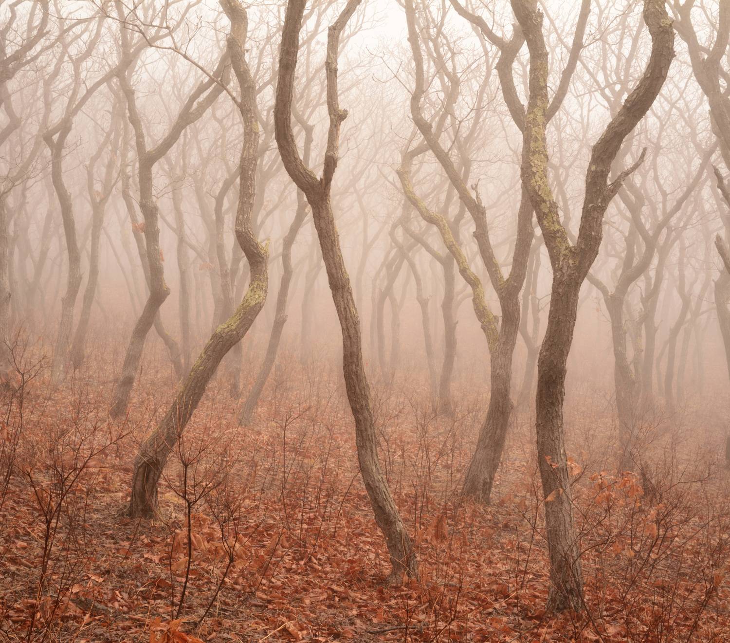 приморье, Едуш Сергей