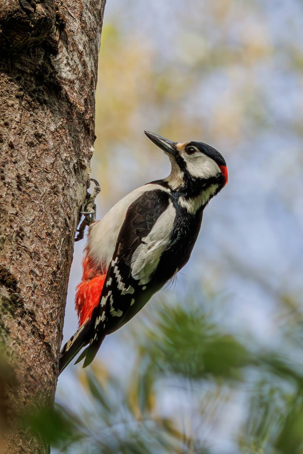 , Морозов Сергей