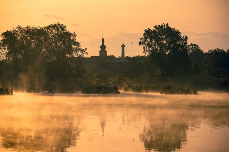 Morning фото превью