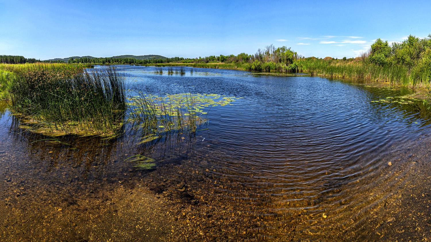 , Ушаков Валерий