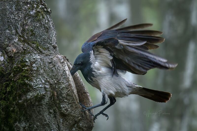 момент Любопытная Варвара фото превью