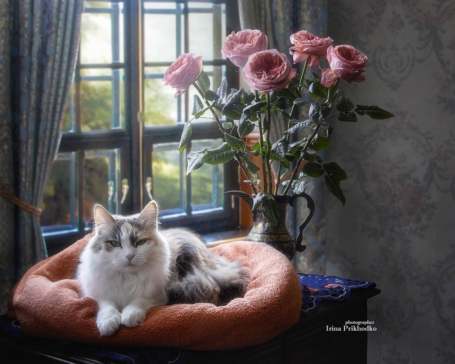 кошки, домашние животные, питомцы, портрет, интерьер, розы, букет, Приходько Ирина