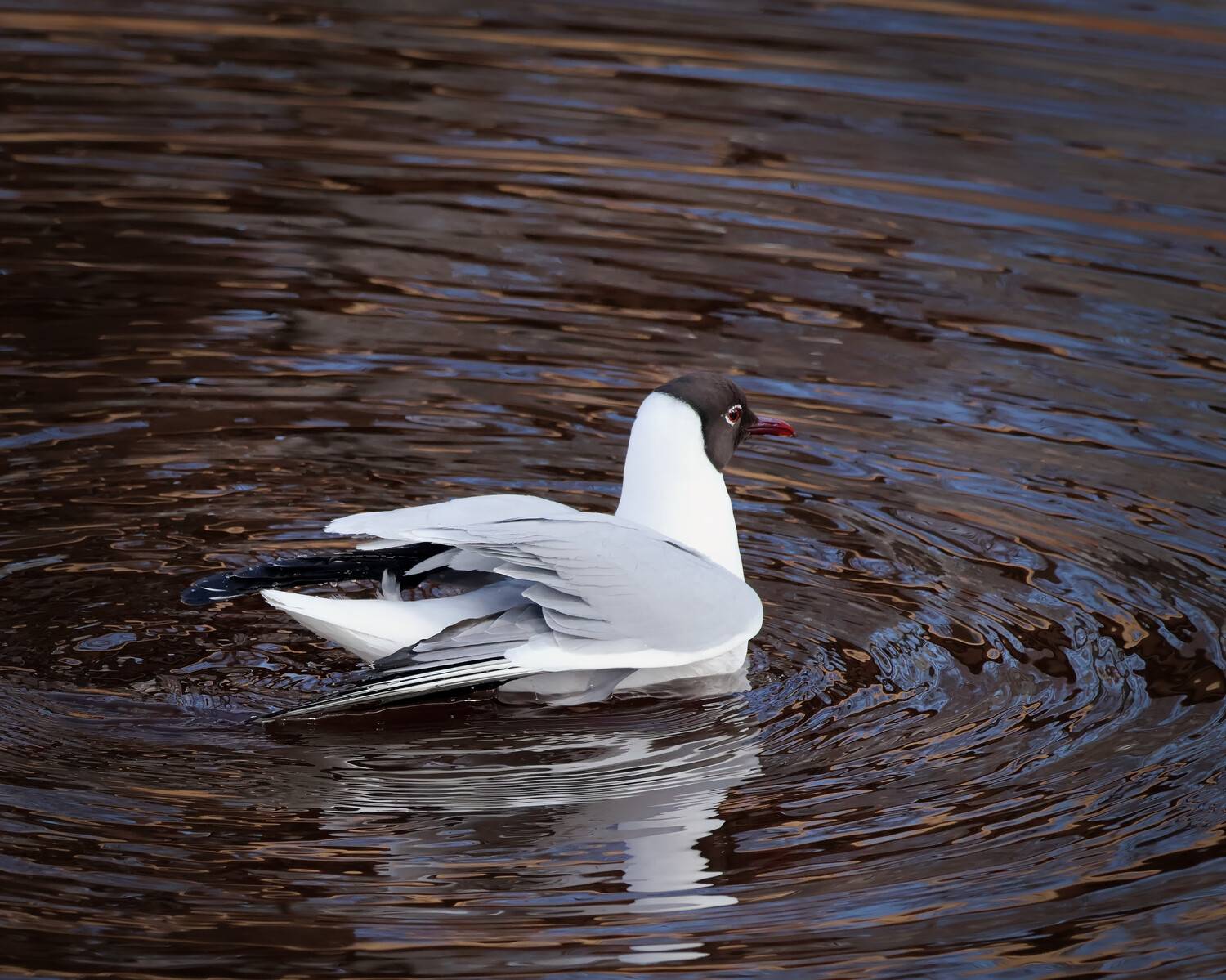 , Александр Титов