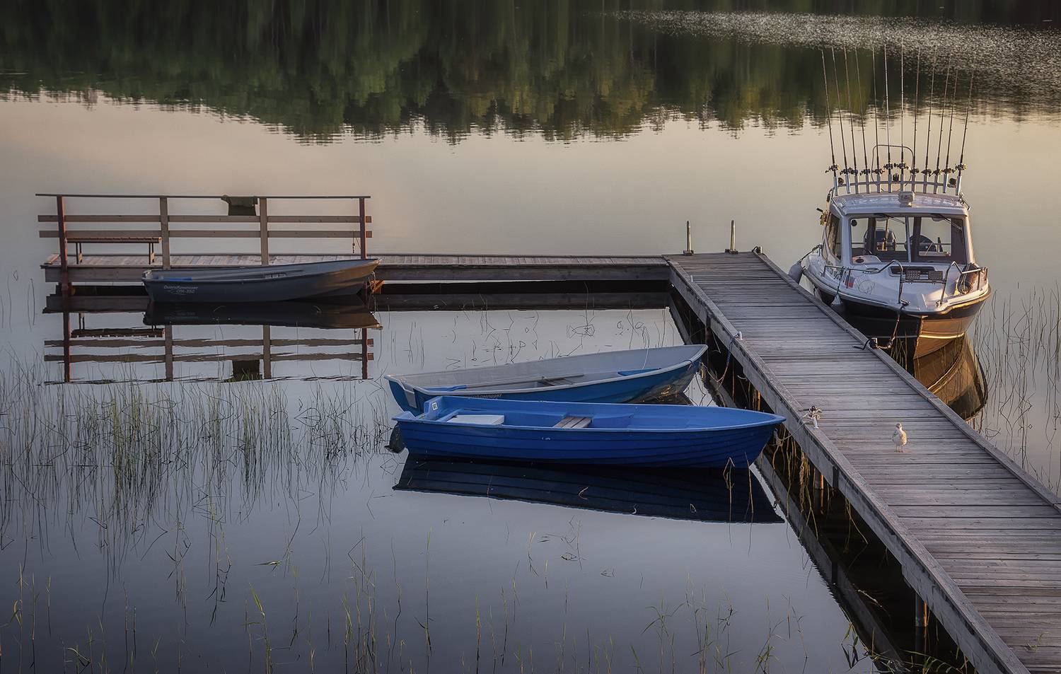 , Сергей Аникин