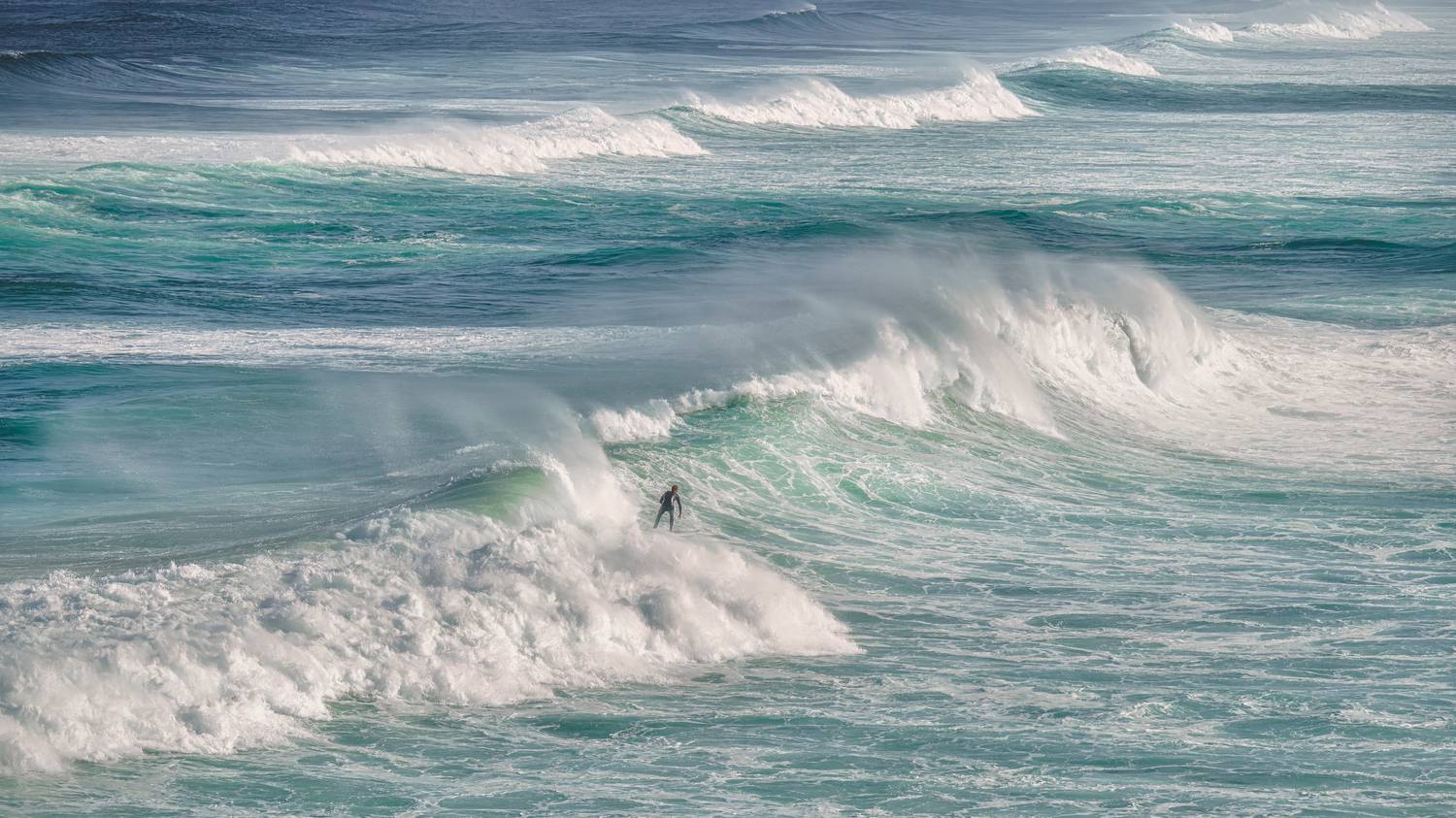 , Шварцман Евгений