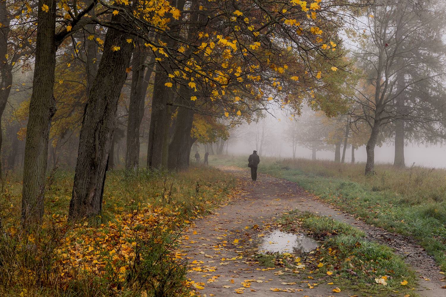,  александр михайлов