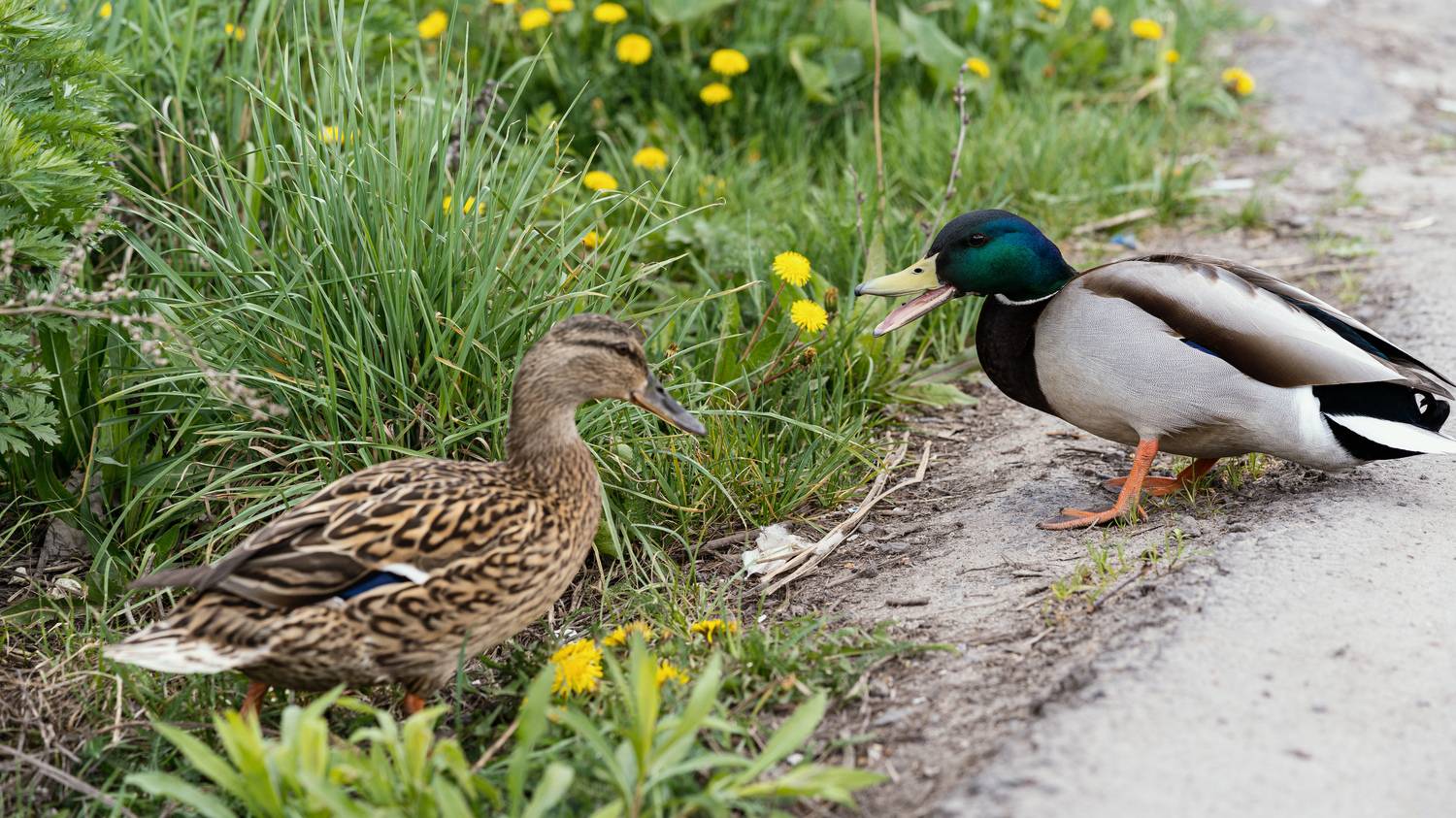 , Вертиков Юрий