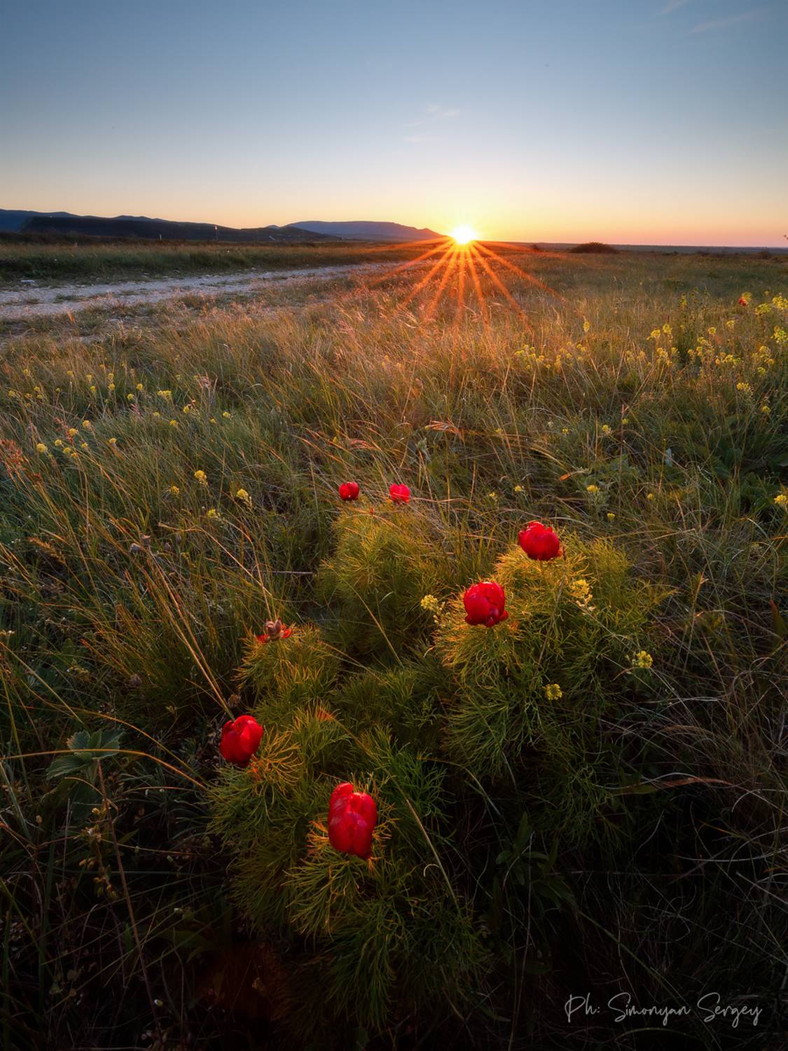 , Симонян Сергей