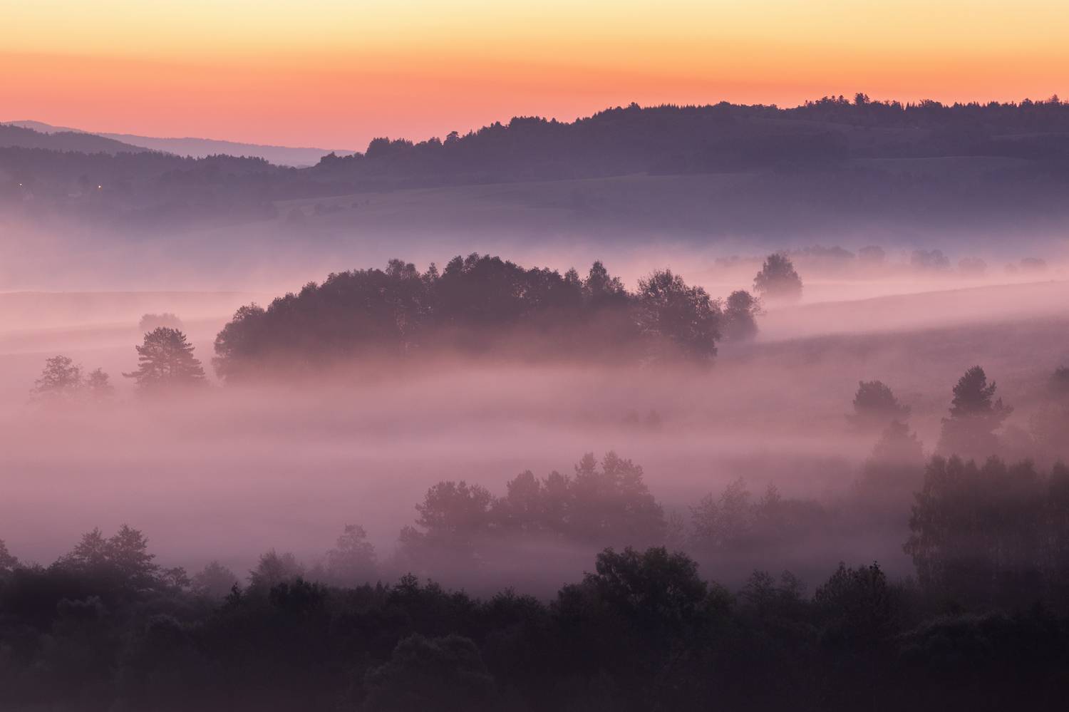 ,  Mirosław Pruchnicki