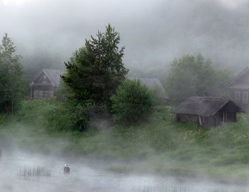 деревня,  русский север, рассвет, саминский погост, природа, утро,  река,  туман Утро в деревне фото превью