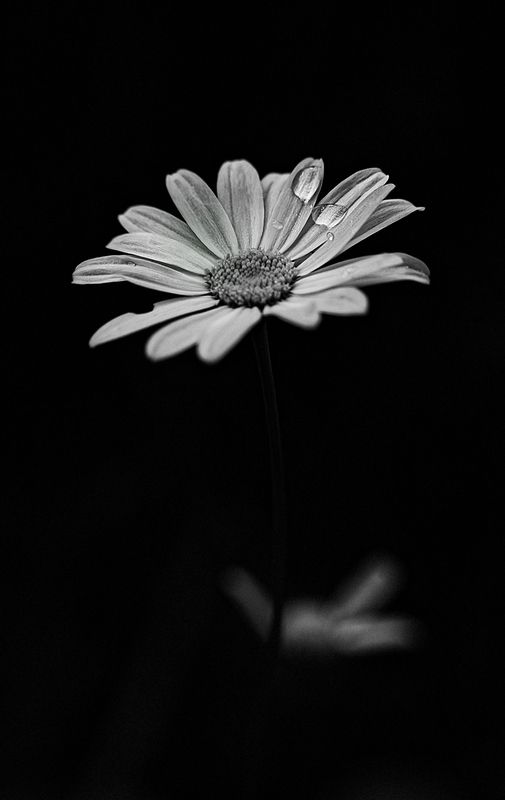 ... фото превью