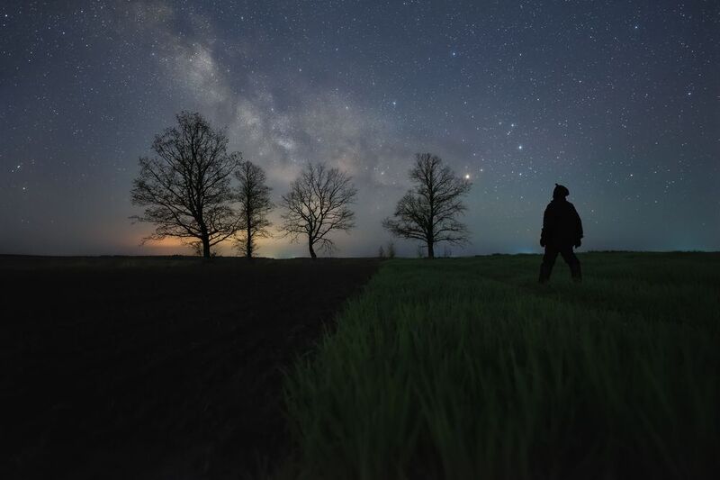 Весенние ночи фото превью